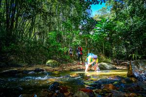 BIB: 
                            <button type="button" onclick="openModal(21765169)" class="btn btn-primary btn-sm float-right btn-popup" data-toggle="modal" data-target=".modal-high-quality">
                        <i class="fas fa-shopping-cart"></i> Add to Cart
                    </button>
                                            <button type="button" onclick="isThisMe(21765169, true)" class="btn btn-success btn-sm float-right btn-popup btn-isme hidden" data-toggle="tooltip" data-placement="bottom" title="นี่คือรูปของคุณใช่ไหม คลิกที่นี่เพื่อเอาเข้าอัลบั้ม">
                        <i class="fas fa-plus"></i> Add to album
                    </button>
                    <button type="button" onclick="isThisMe(21765169, false)" class="btn btn-warning btn-sm float-right btn-popup btn-isnotme hidden">
                        <i class="fas fa-ban"></i> Remove from album
                    </button>